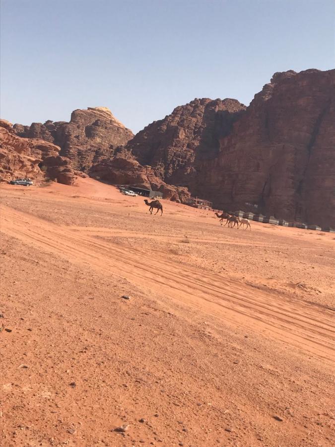 Hotel Bedouin House Camp à Wadi Rum Extérieur photo
