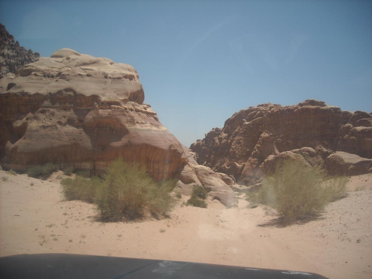 Hotel Bedouin House Camp à Wadi Rum Extérieur photo