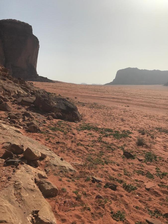 Hotel Bedouin House Camp à Wadi Rum Extérieur photo