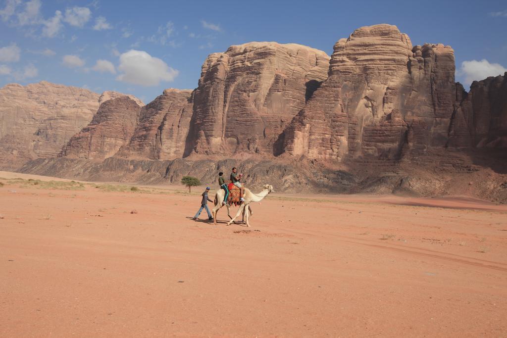 Hotel Bedouin House Camp à Wadi Rum Extérieur photo