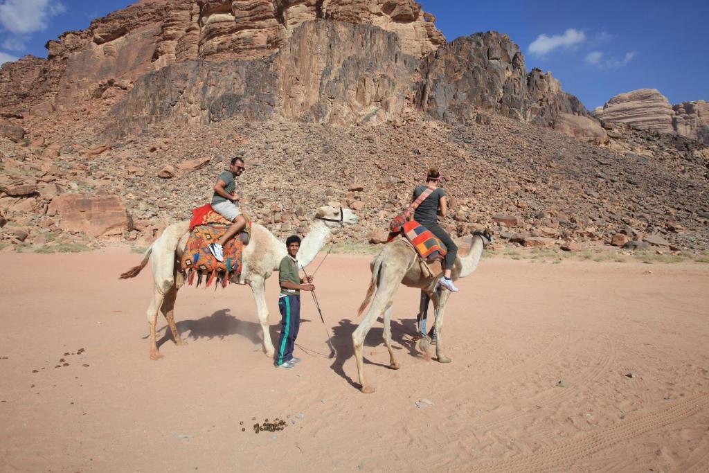 Hotel Bedouin House Camp à Wadi Rum Extérieur photo